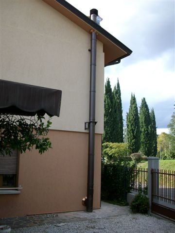 canna fumaria DP25 ramato